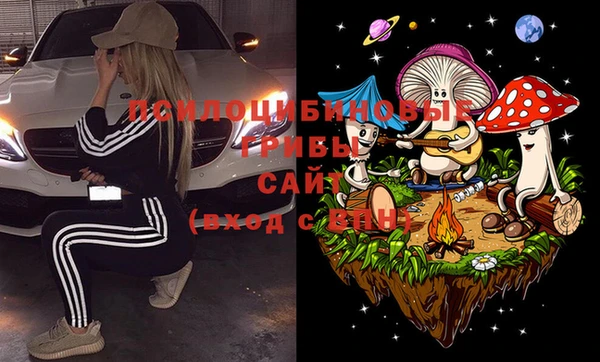 прущие грибы Абинск