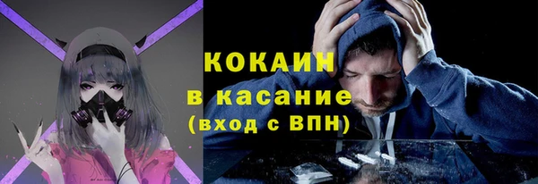 прущие грибы Абинск