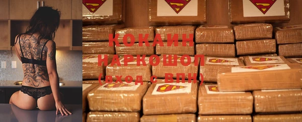 прущие грибы Абинск