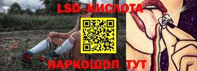 Альфа ПВП Малгобек