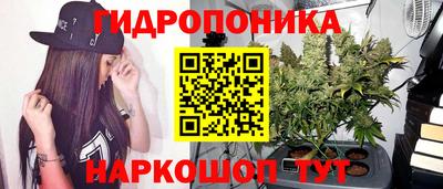 Альфа ПВП Малгобек