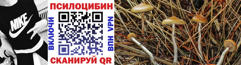 Галлюциногенные грибы ЛСД  MEGA зеркало  Советский 