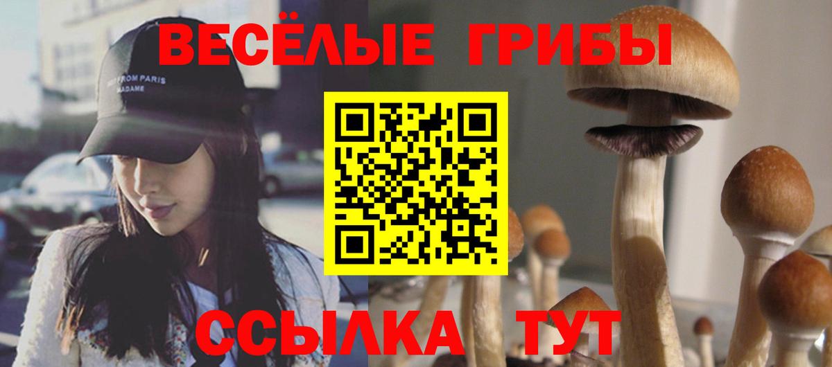 Советский  Галлюциногенные грибы мицелий  Галлюциногенные грибы Magic Shrooms  Вход с VPN 